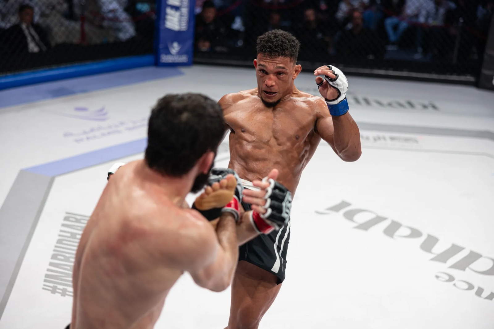 Alex Silva quer fazer história no UAE Warriors. Foto: UAE Warriors